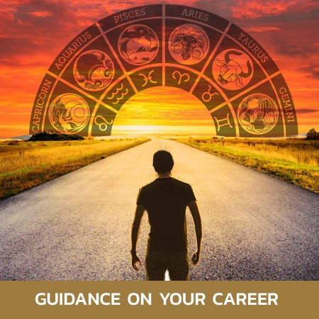 Career & Business Guidance